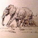Thumb Elefant mutter mit Kind